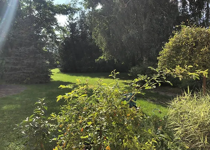 Mazurskie Siolo, Pod Orzechem Mikołajki